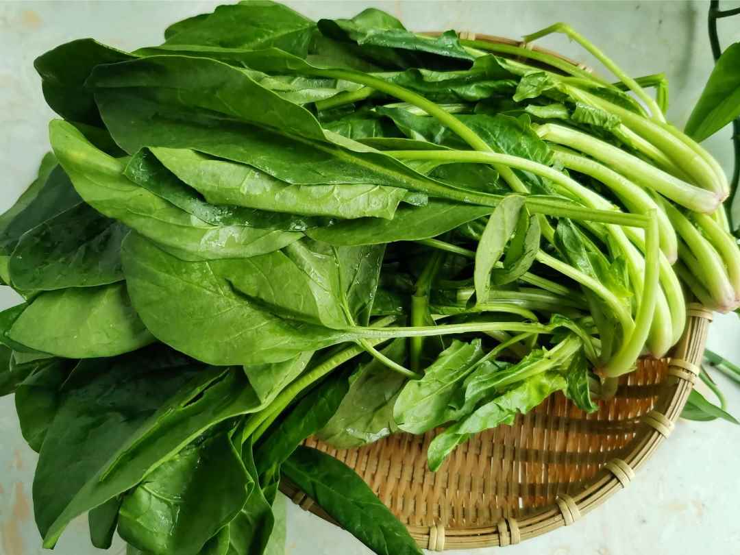 Wash fresh spinach