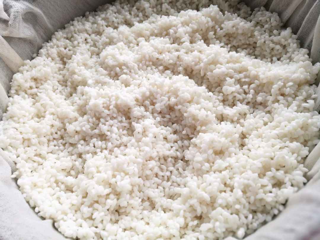 Glutinous rice was soaked in water for one night in advance